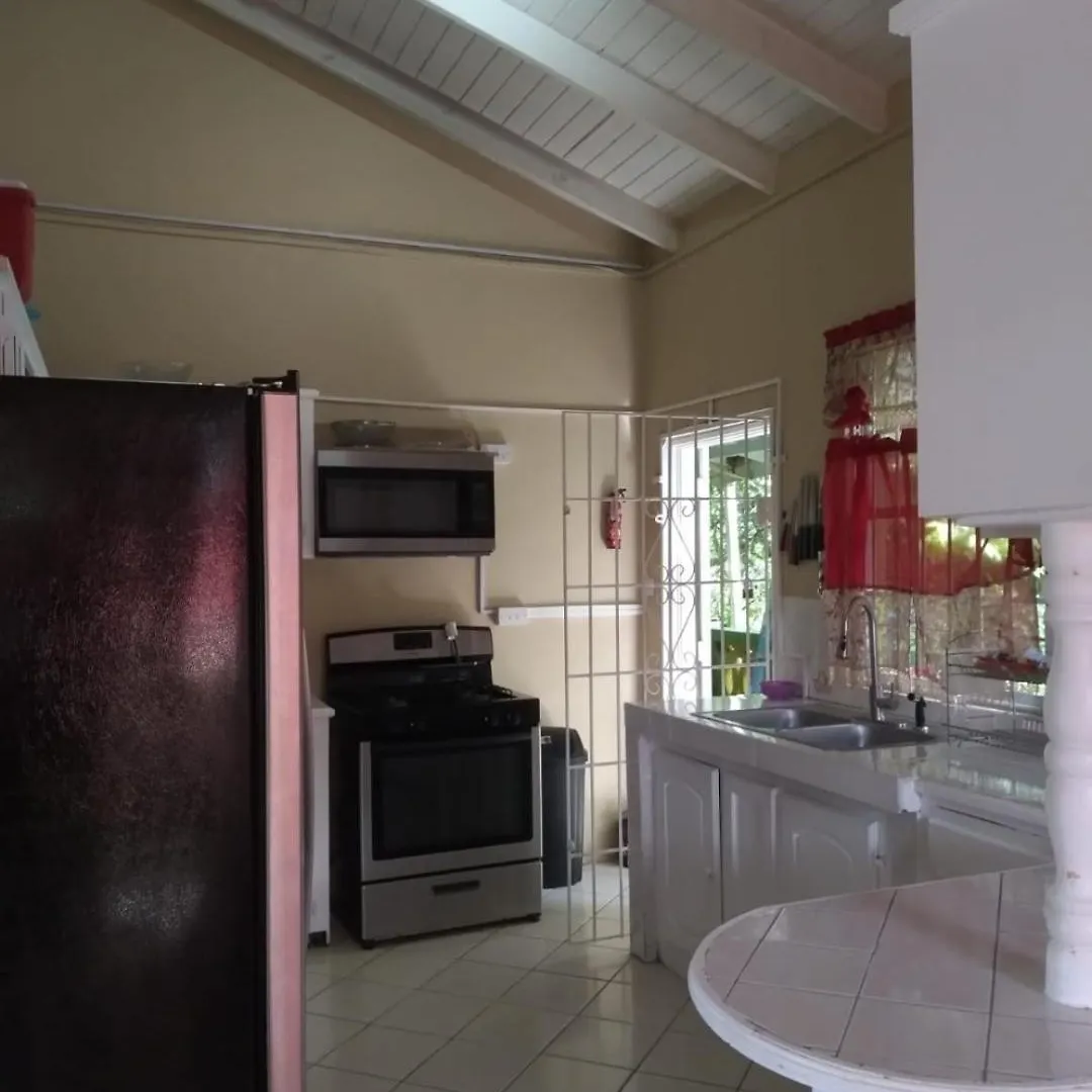 Fano'S Tropical Oasis, Boise D'Orange Apartment Castries Saint Lucia