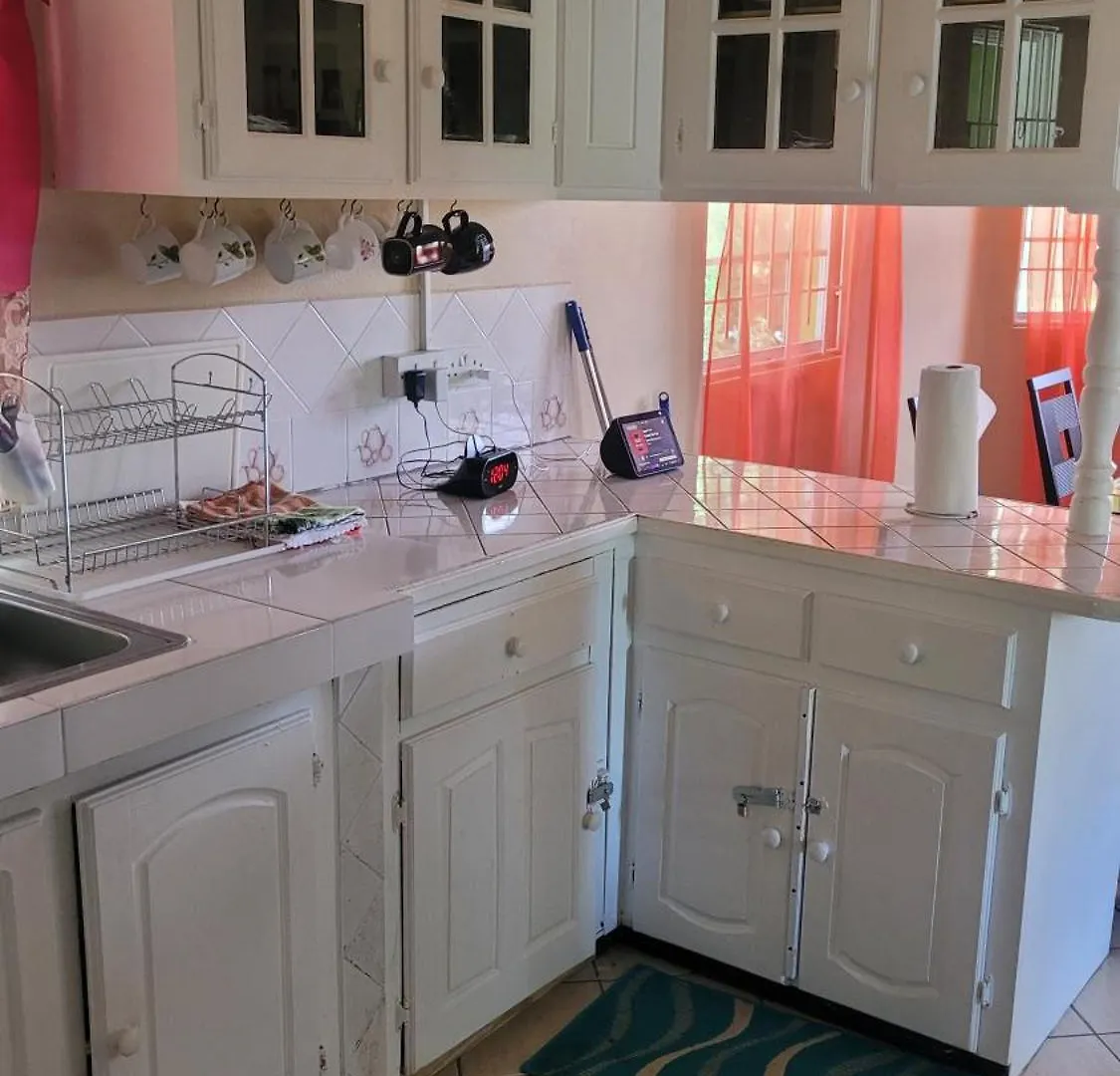 Fano'S Tropical Oasis, Boise D'Orange Apartment Castries