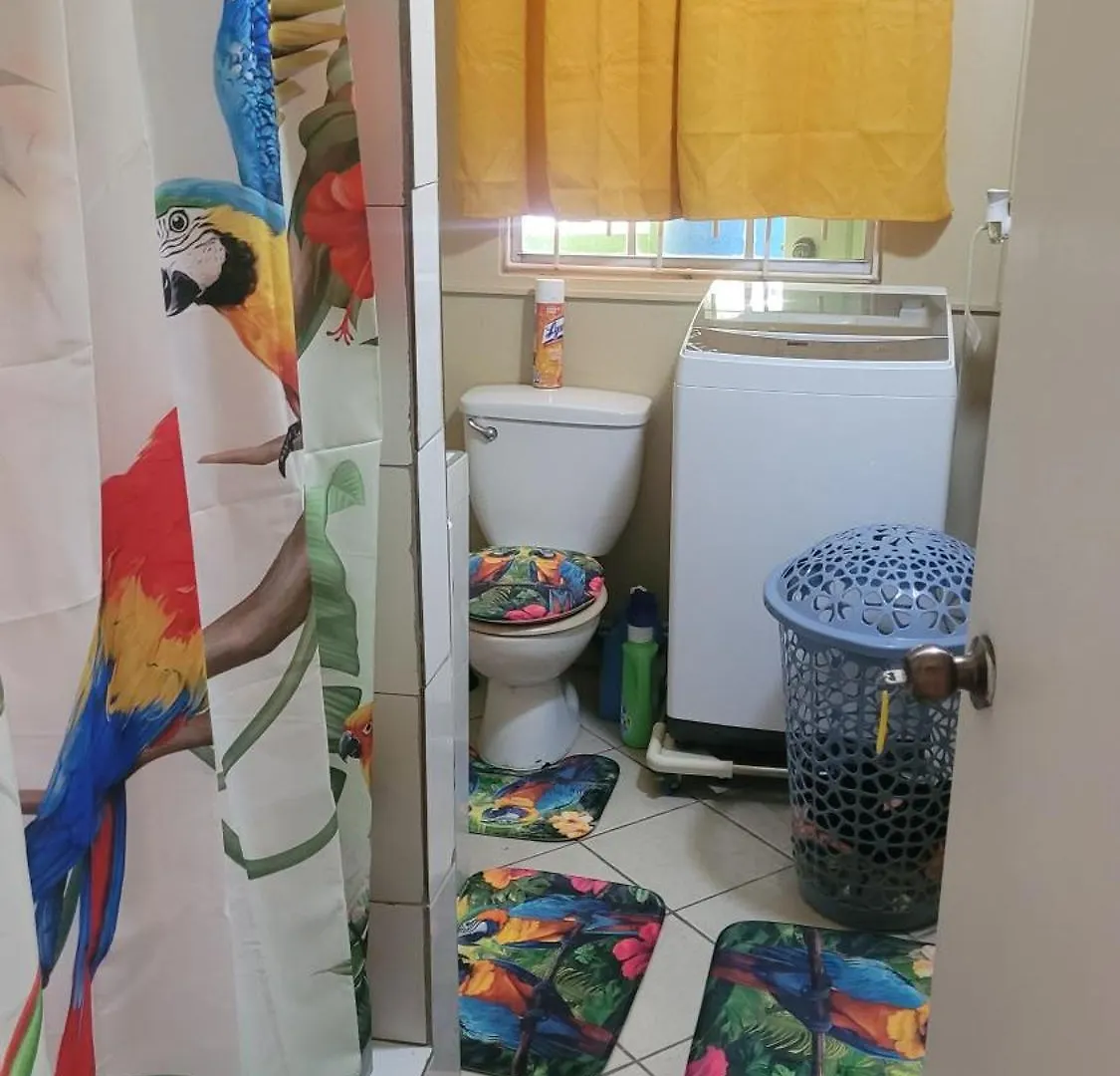 Fano'S Tropical Oasis, Boise D'Orange Apartment Castries 0*,